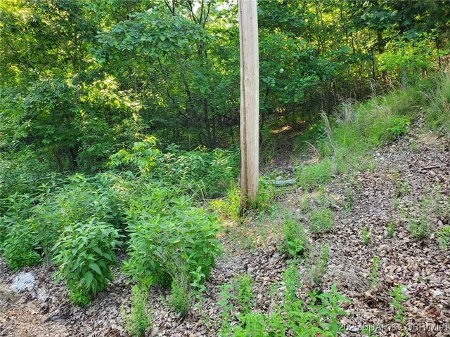 $26,300 | Alcorn Hollow Road, Roach, MO 65787