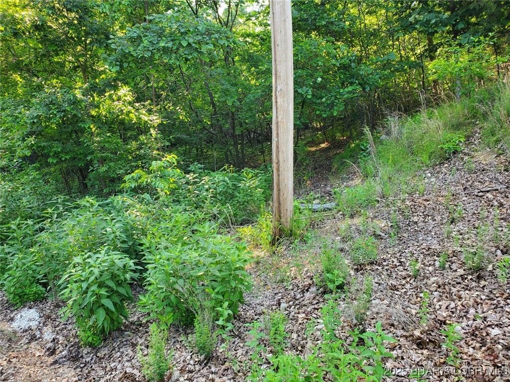 Alcorn Hollow Road Roach, MO 65787 - Photo 5 of 5