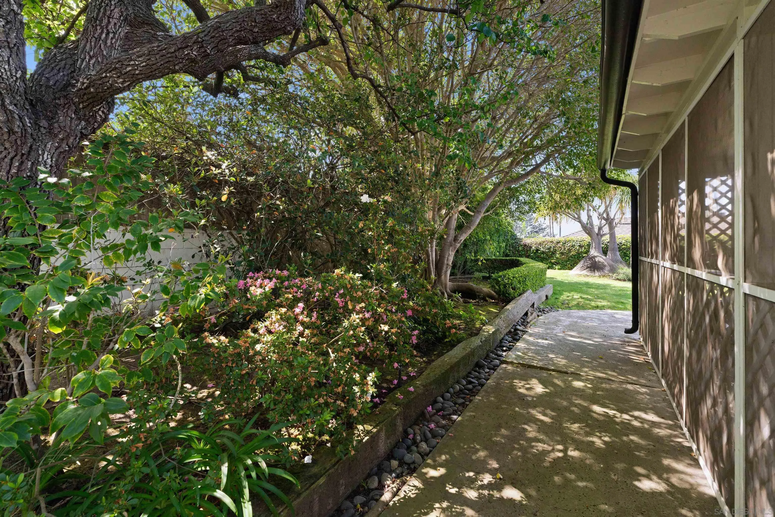 445 Avenida Primavera Del Mar, CA 92014 - Photo 40 of 44 a view of a pathway with a tree