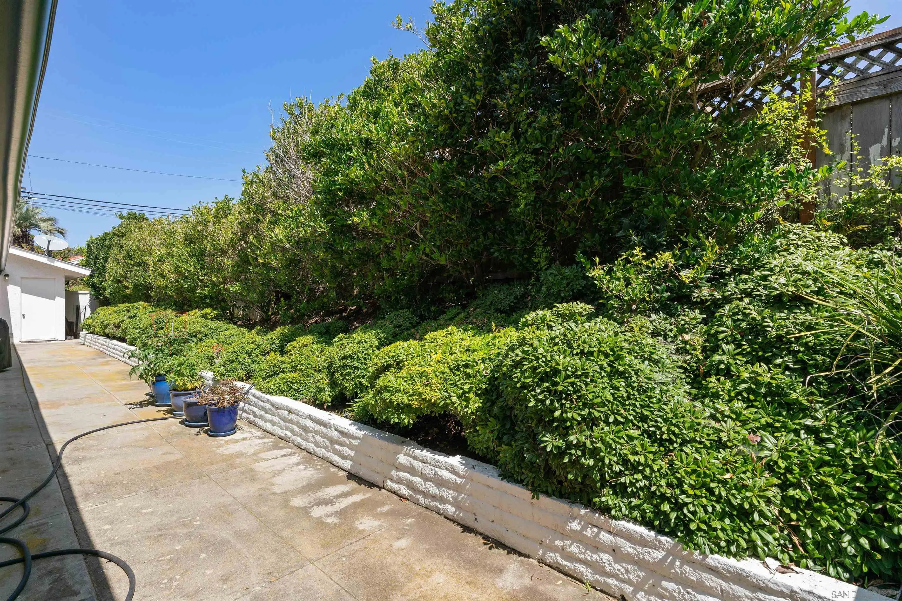 445 Avenida Primavera Del Mar, CA 92014 - Photo 41 of 44 a view of a garden with pathway