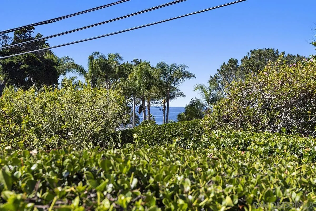 445 Avenida Primavera Del Mar, CA 92014 - Photo 42 of 44 a view of a bunch of flowers and trees