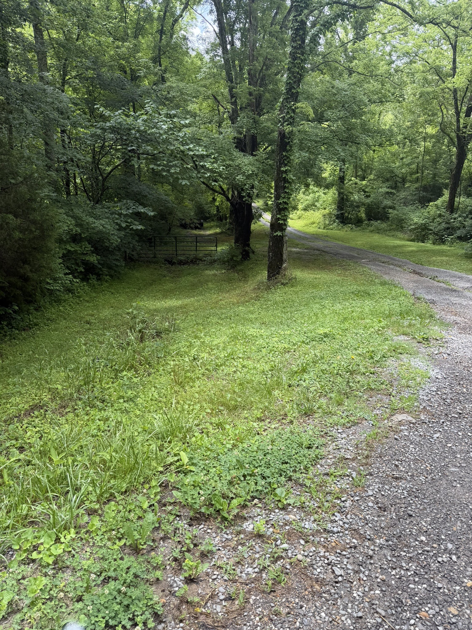 0 Brown Road Bon Aqua, TN 37025 - Photo 17 of 56 Gallery Image 17