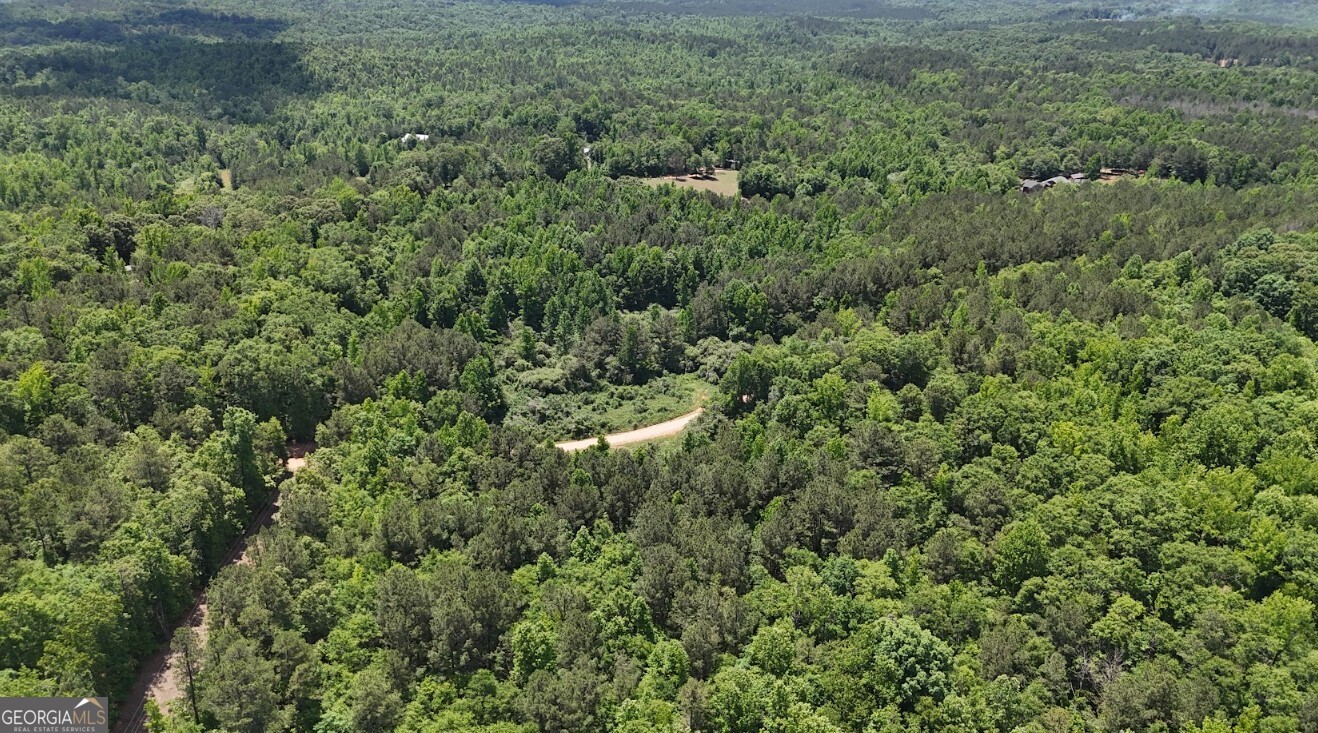 0 Creek Road, Unit LOT 2 Ashland, AL 36251 - Photo 10 of 20