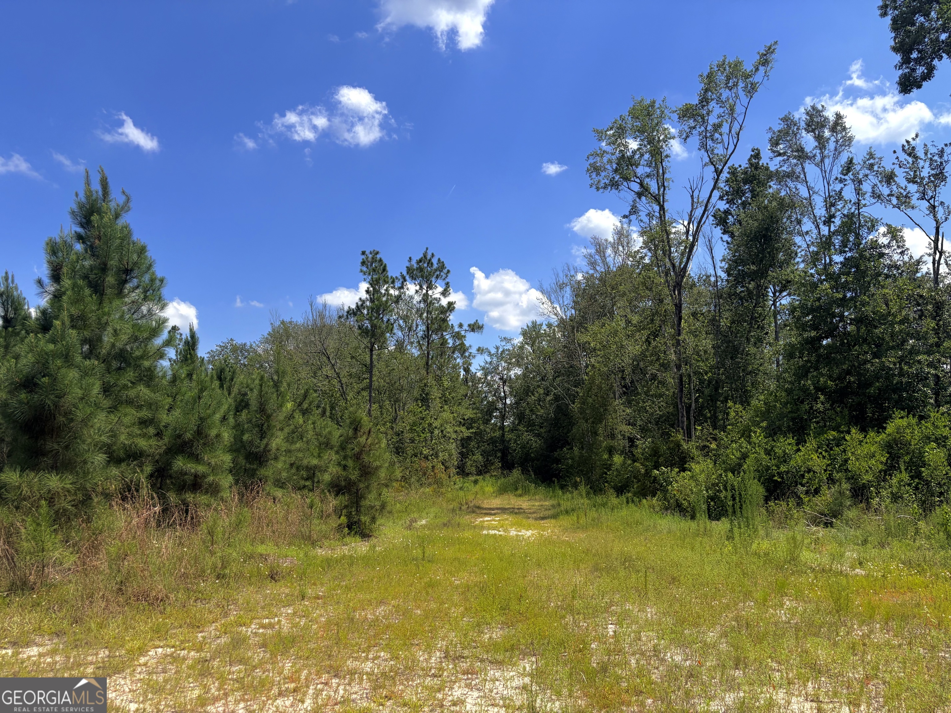 0 Ernest Carter Road Hazlehurst, GA 31539 - Photo 11 of 17 Gallery Image 11