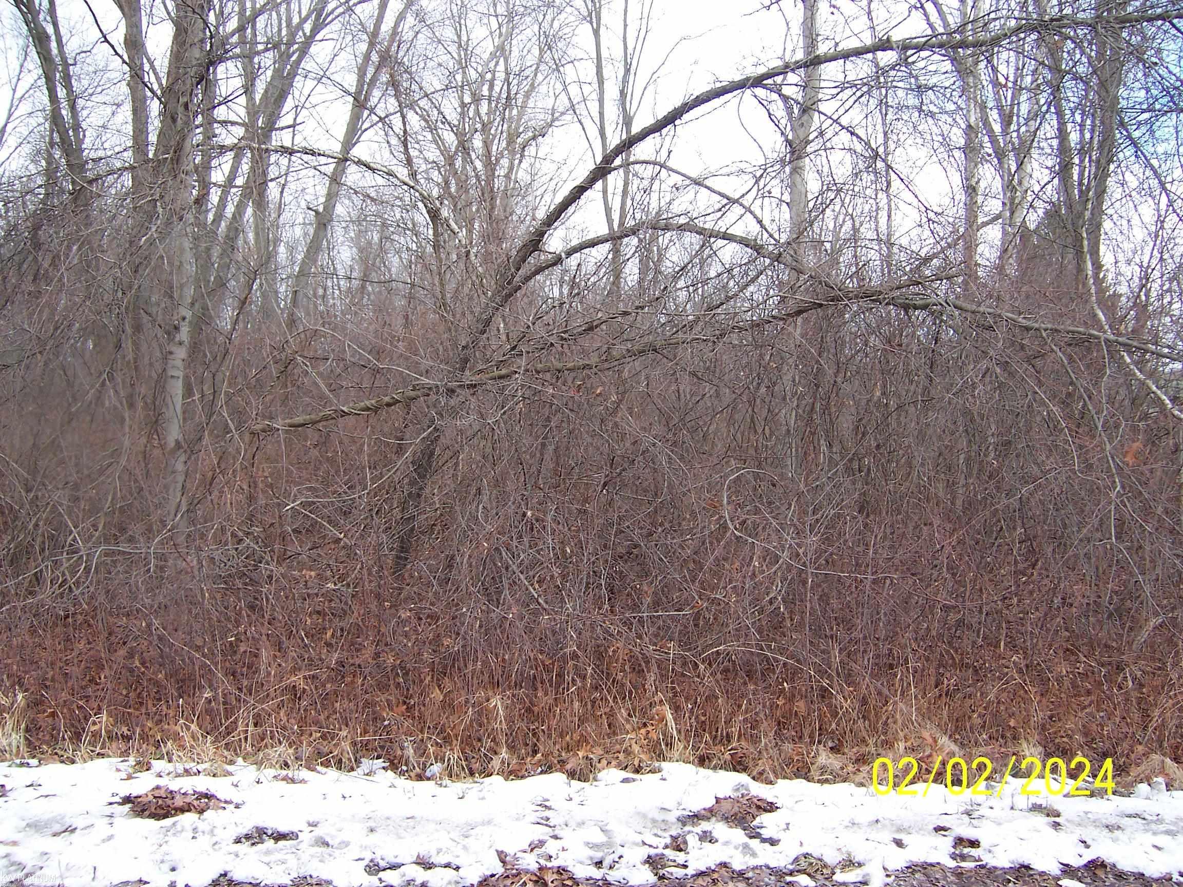 Nern Rd Port Port Huron, MI 48060 - Photo 1 of 2