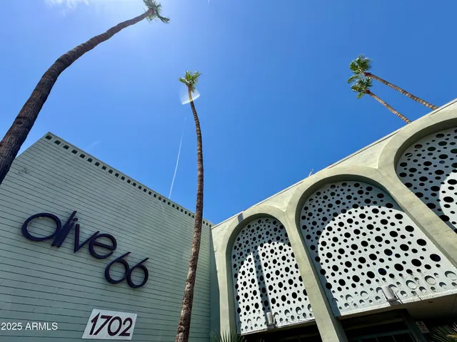 a view of a yard in front of house