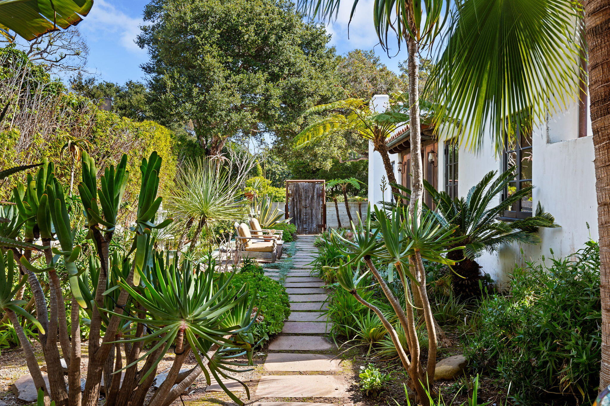 127 Hermosillo Road Montecito, CA 93108 - Photo 31 of 37 a picture of plants