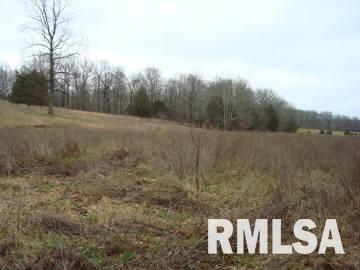 2355 Casper Church Road Cobden, IL 62920 - Photo 6 of 7 Gallery Image 6