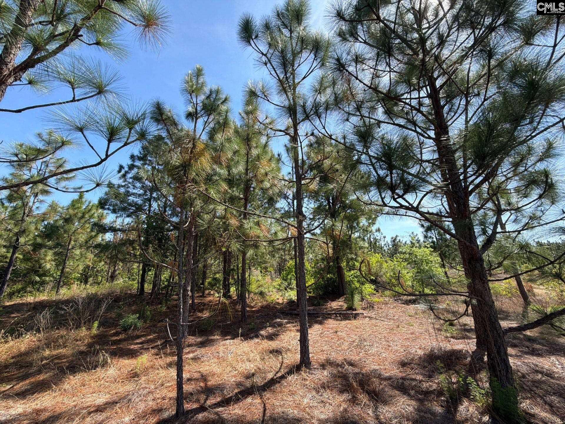 4 Holstein Road Monetta, SC 29105 - Photo 6 of 12