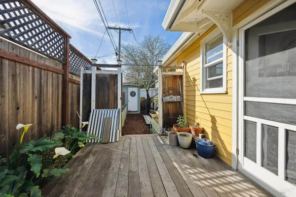 a bunch of flowers in front of the house