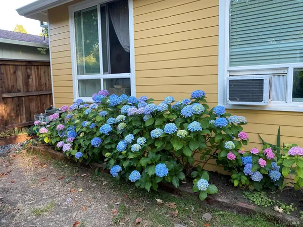 a backyard of a house with table and chairs plants and large tree