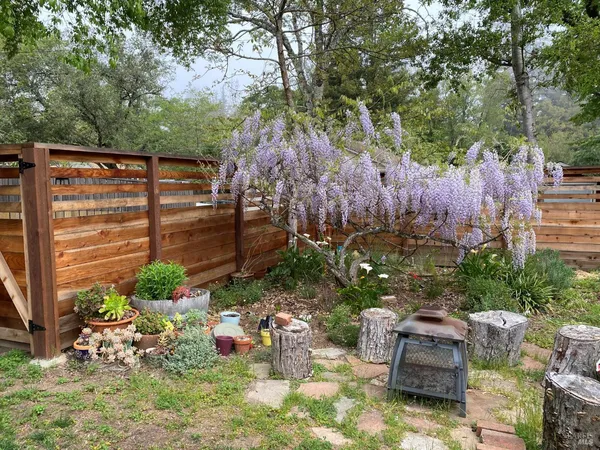 a view of a backyard with chairs and a tree