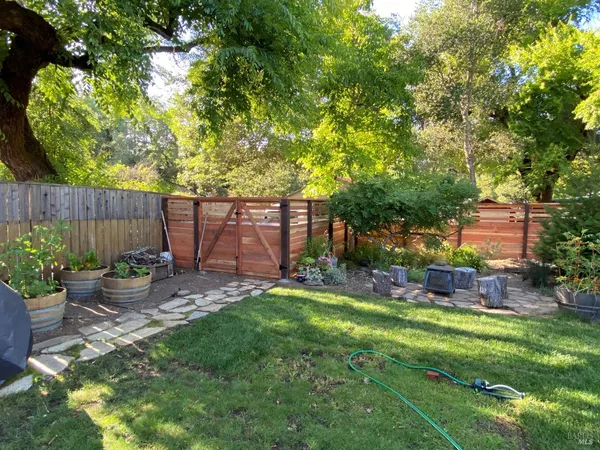 a view of a backyard