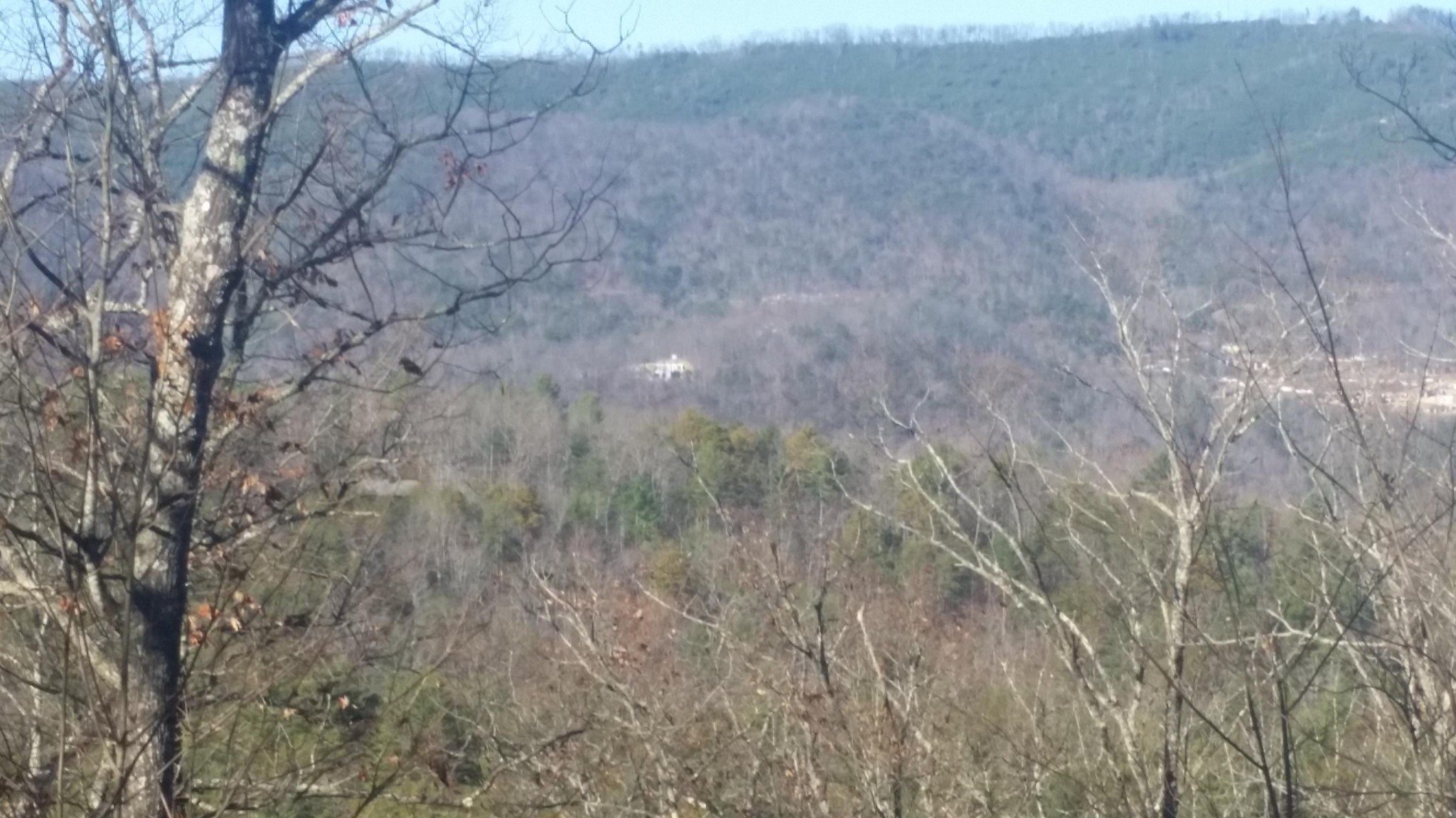 0 Bear Paw Road Walland, TN 37886 - Photo 9 of 11 Gallery Image 9