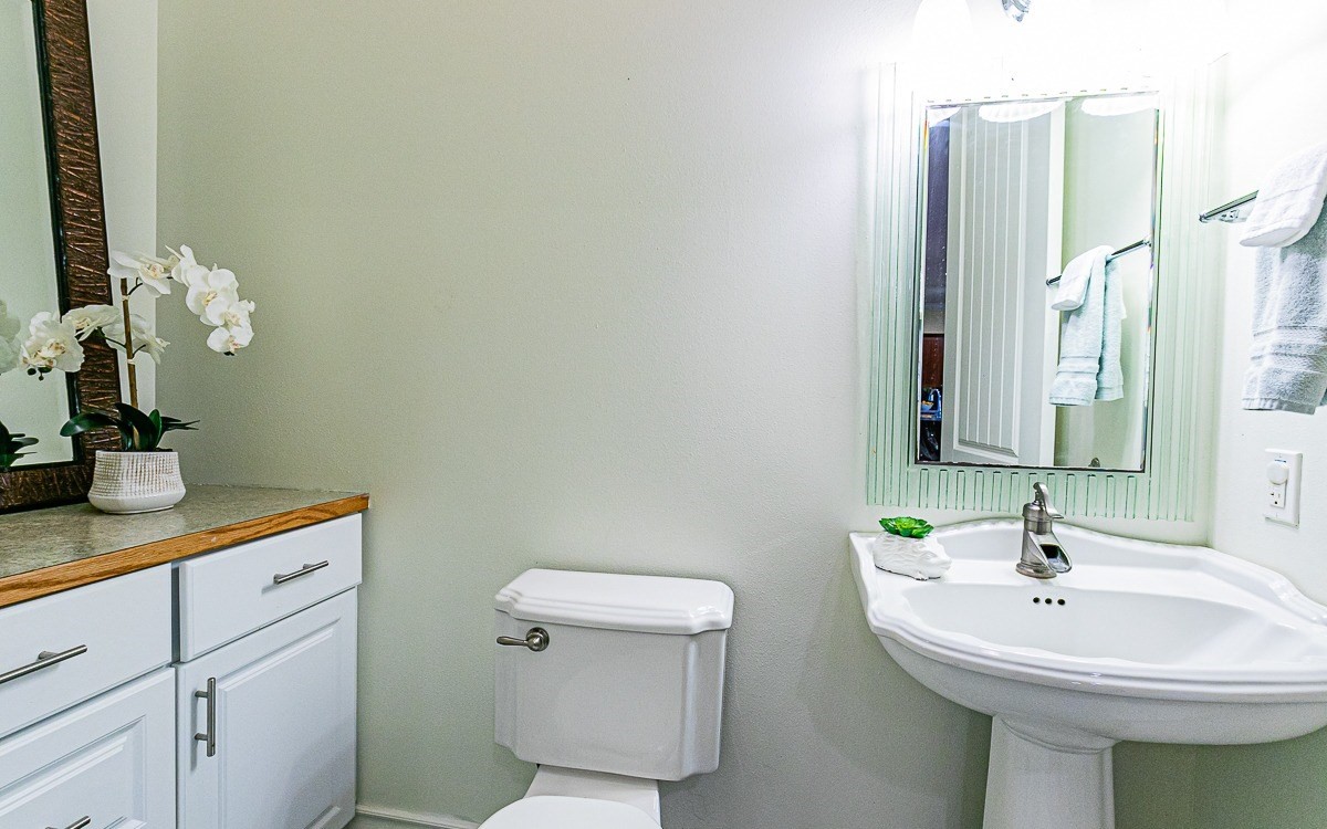 28-256 Akaka Falls Road Honomu, HI 96728 - Photo 15 of 26 a bathroom with a sink a toilet and mirror
