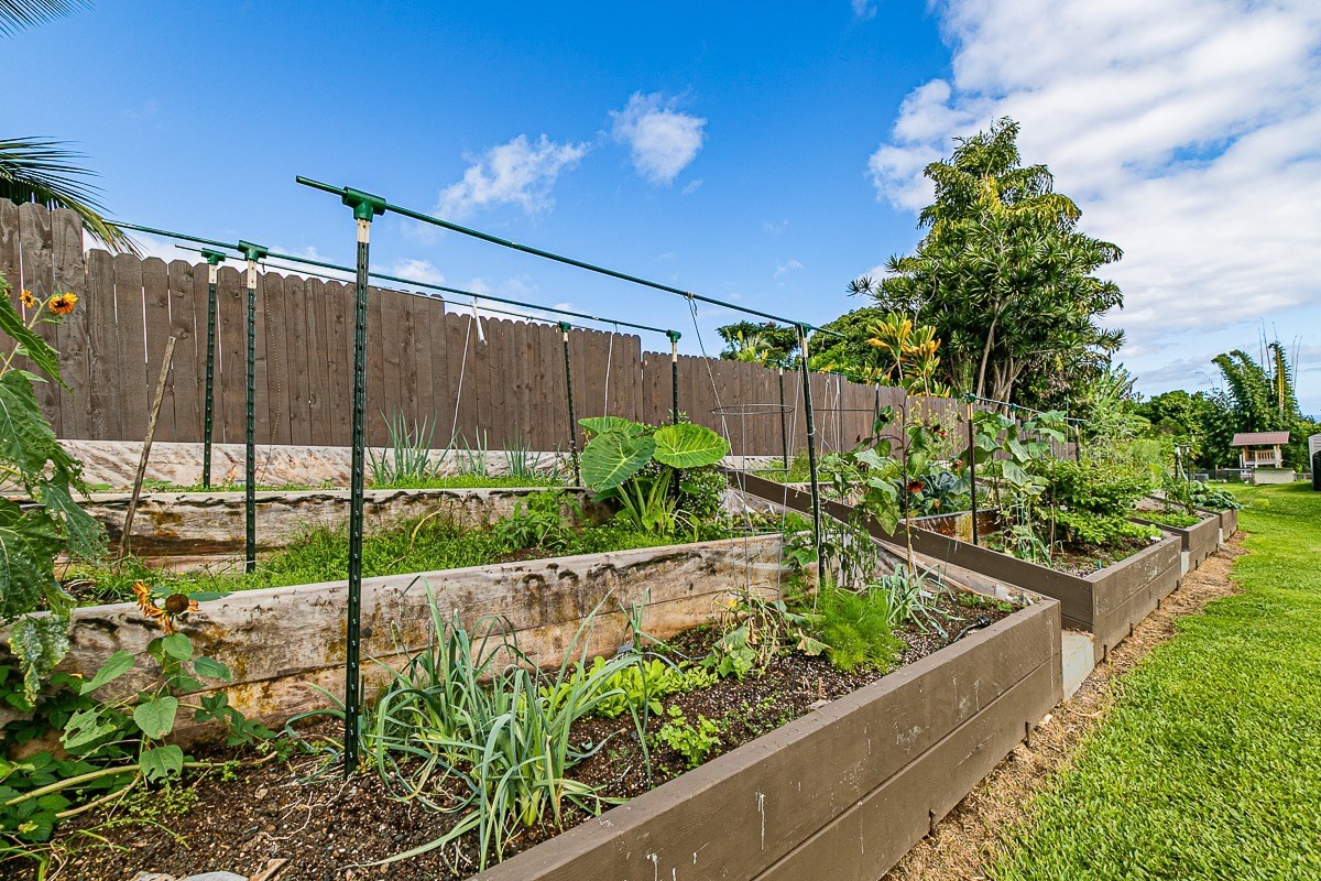 28-256 Akaka Falls Road Honomu, HI 96728 - Photo 8 of 26