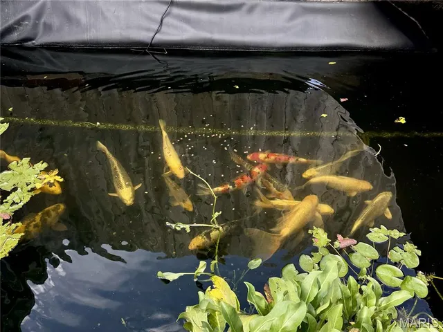 $237,750 | 84 South Laclede Station Road, Webster Groves, MO 63119