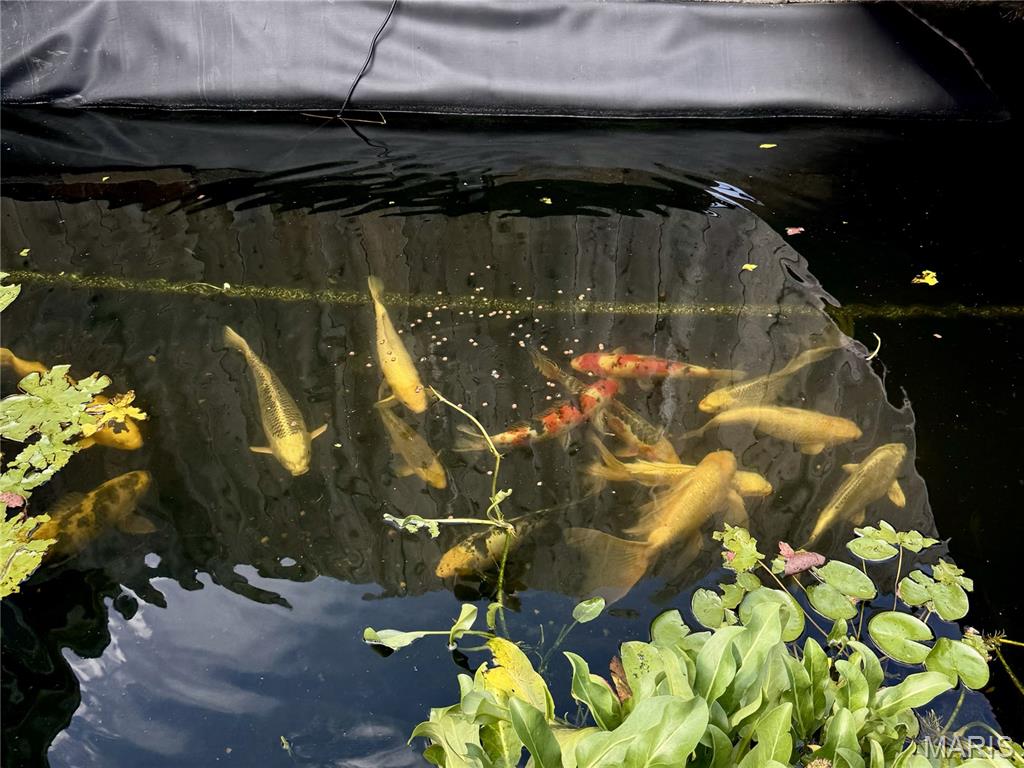 84 South Laclede Station Road Webster Groves, MO 63119 - Photo 9 of 9