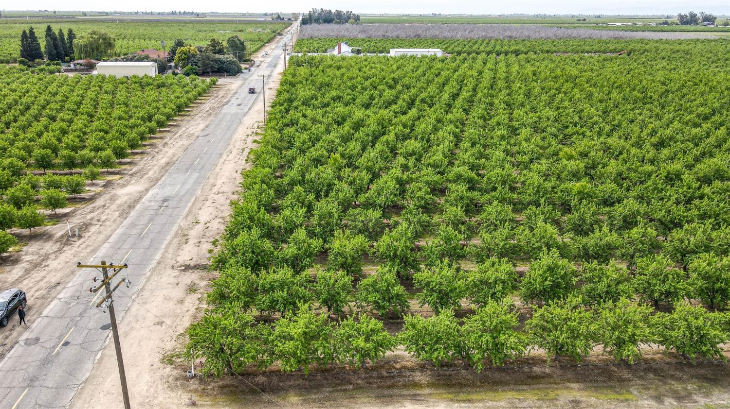 0 Road 29 Madera, CA 93637 - Photo 13 of 33 a view of a garden with a lake