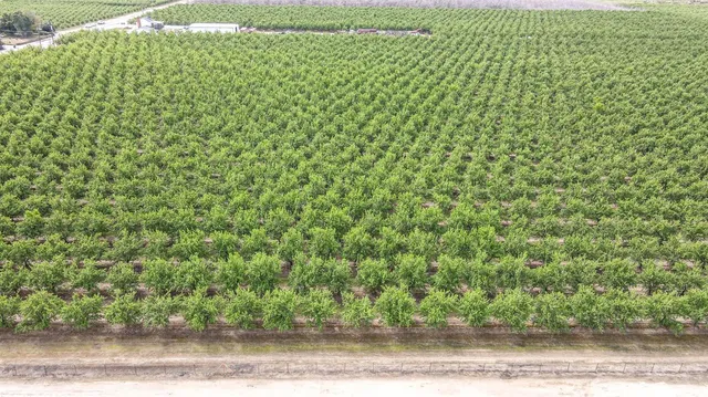 a view of a field with an ocean