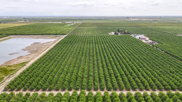 a view of outdoor space