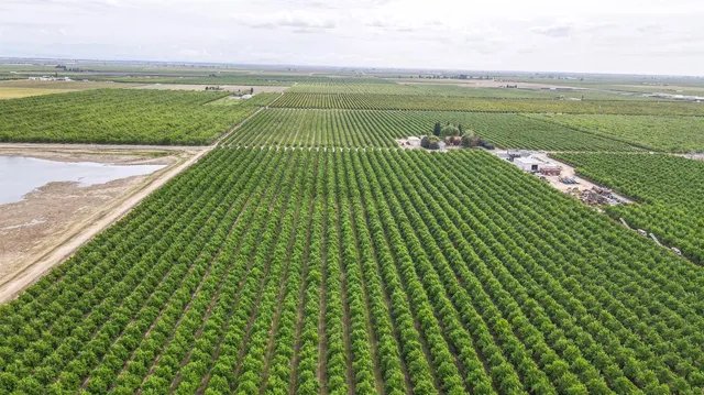a view of an outdoor space