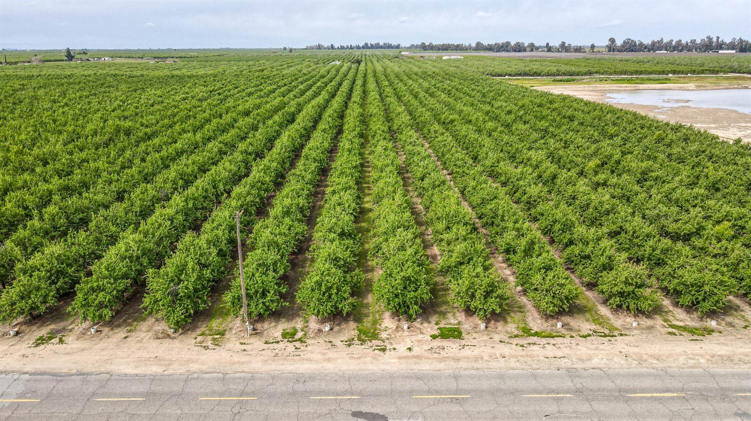 0 Road 29 Madera, CA 93637 - Photo 22 of 33 a view of a yard