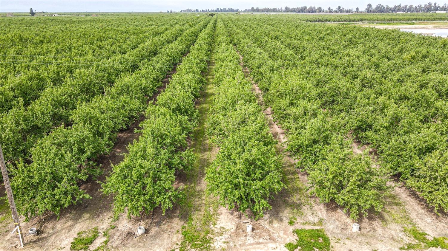0 Road 29 Madera, CA 93637 - Photo 23 of 33 a view of an outdoor space and a lake view