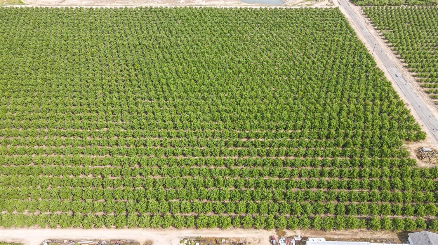 0 Road 29 Madera, CA 93637 - Photo 24 of 33 a view of a green space