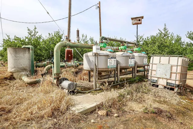 a backyard of a house with lots of plants