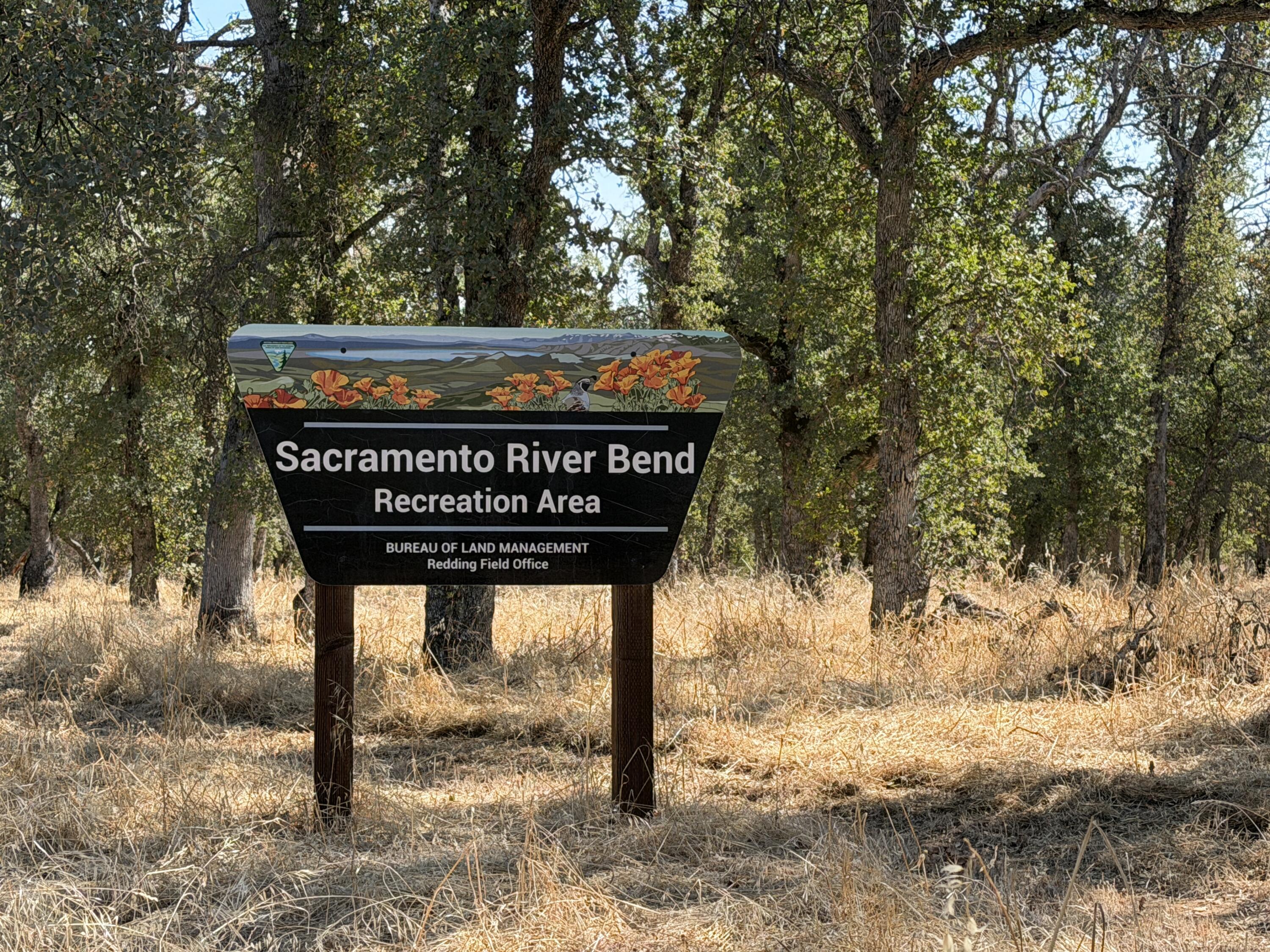 17925 Rivers Edge Drive Red Bluff, CA 96080 - Photo 82 of 88 IMG_2387