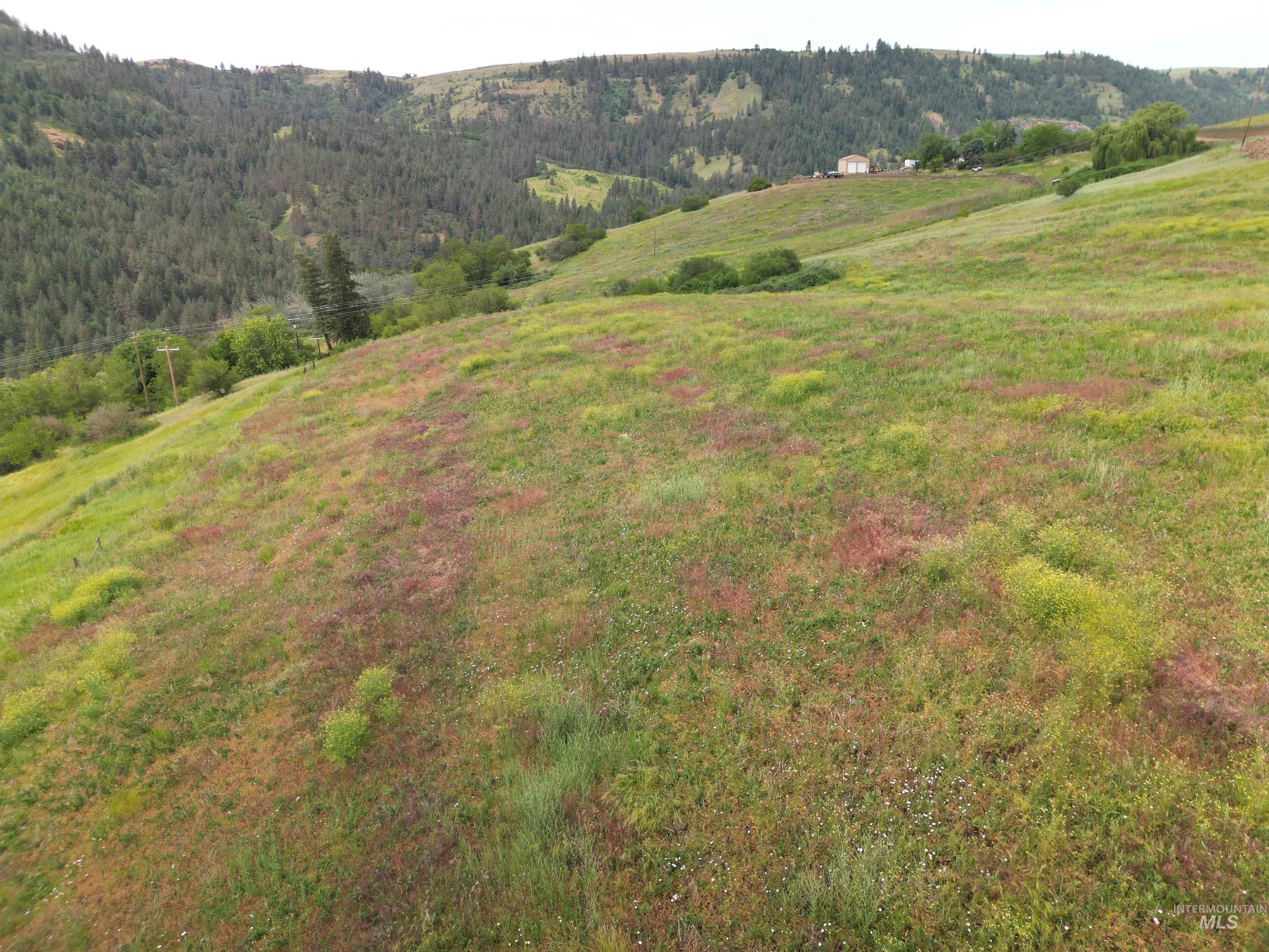 0 American Ridge Road Kendrick, ID 83537 - Photo 2 of 15
