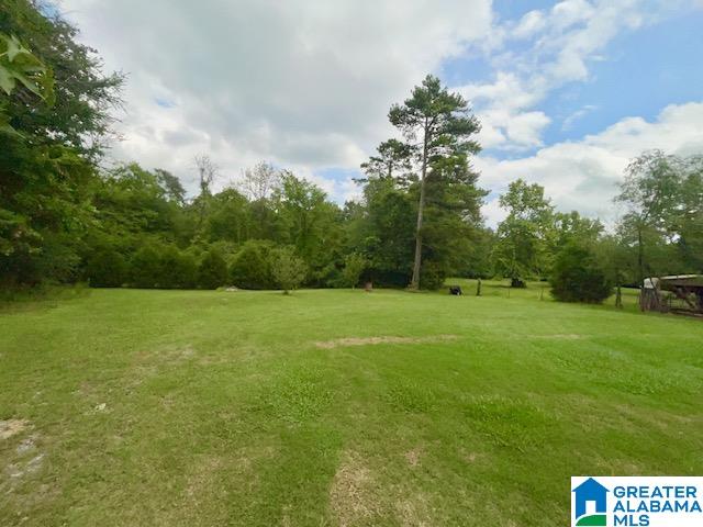 45676 Highway 25 Vincent, AL 35178 - Photo 5 of 22