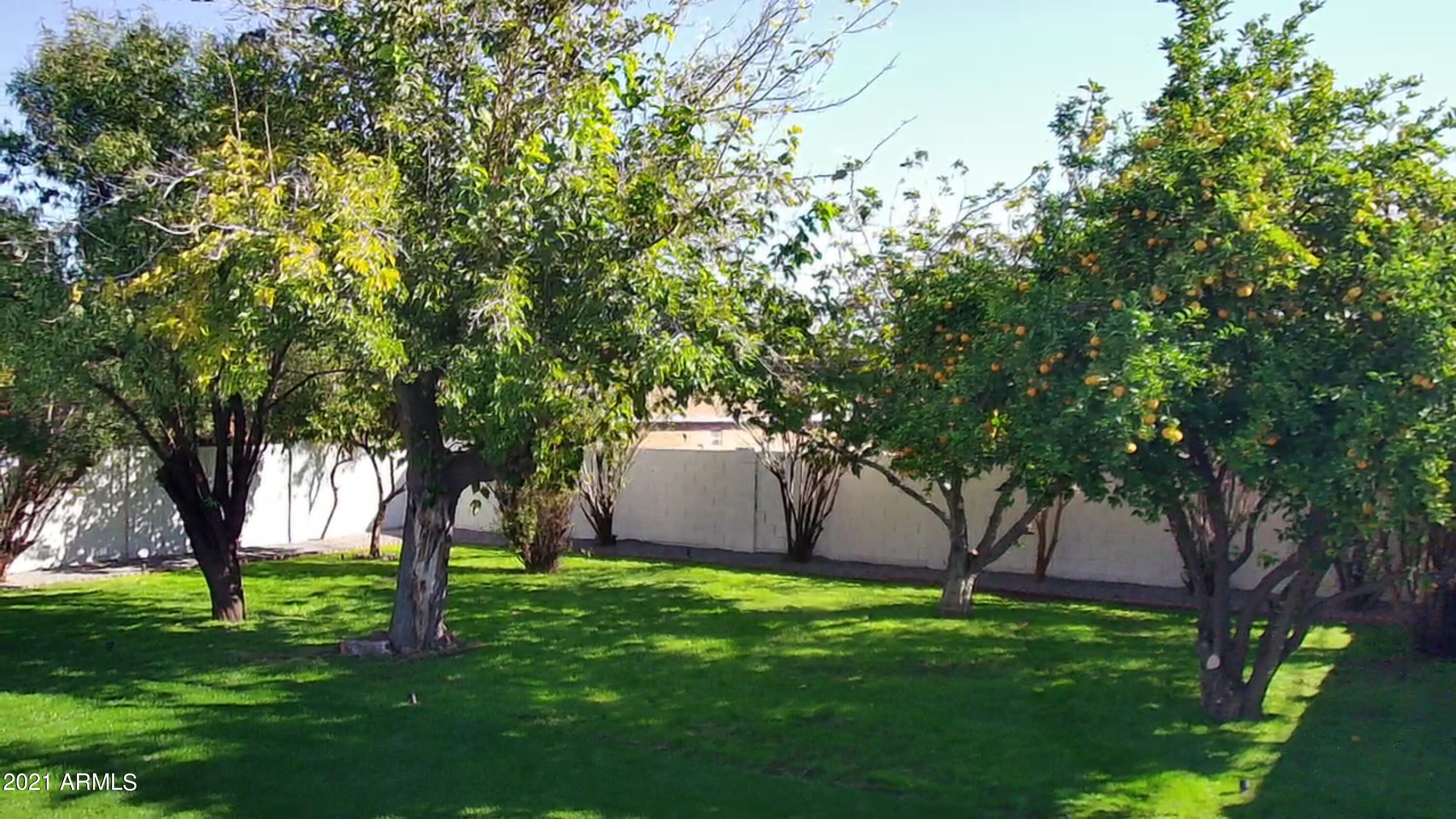 1819 West Rovey Avenue Phoenix, AZ 85015 - Photo 37 of 43 Photo Dec 16, 1 22 16 PM