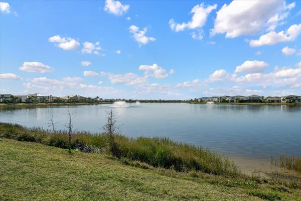 a view of a lake from a yard