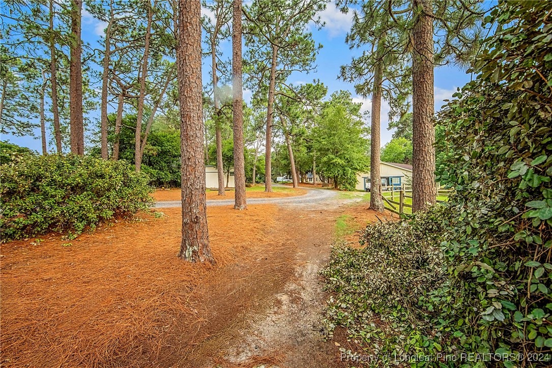 222 Goodwill Road Southern Pines, NC 28387 - Photo 39 of 49 a view of road with trees