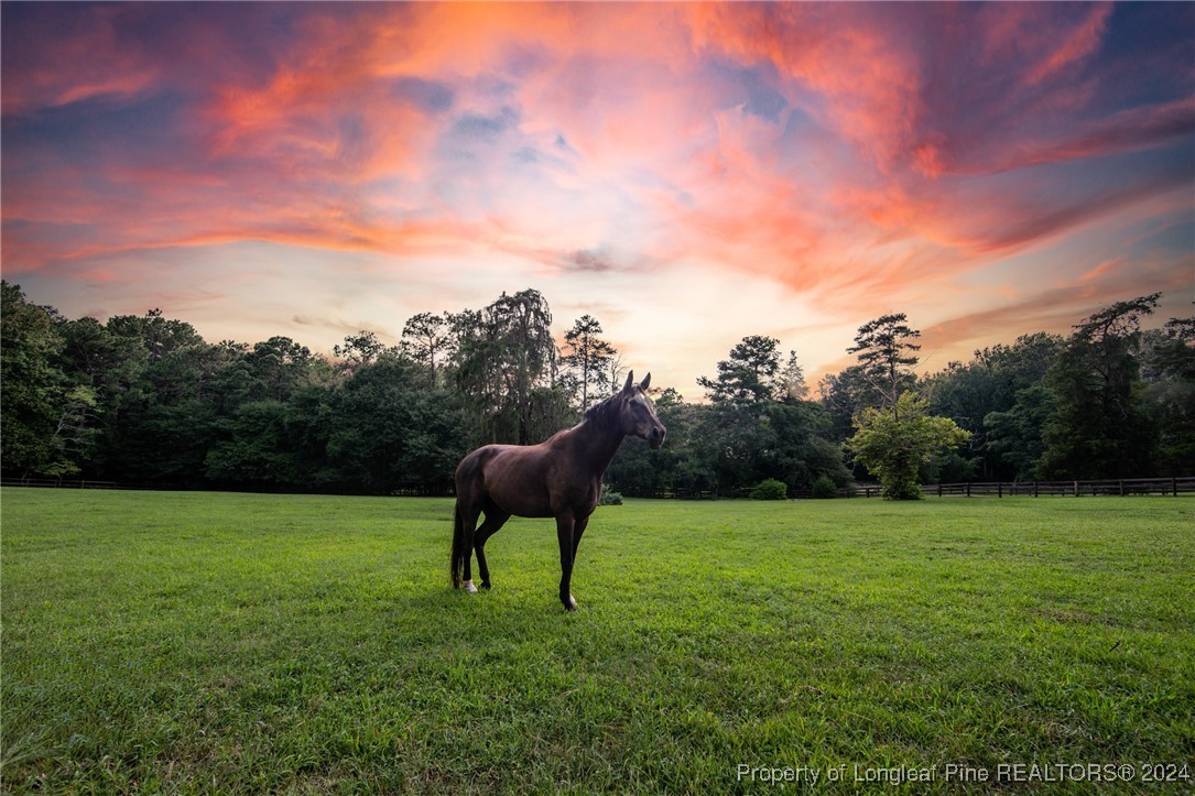 222 Goodwill Road Southern Pines, NC 28387 - Photo 9 of 49 a backyard of a house with lots of green space