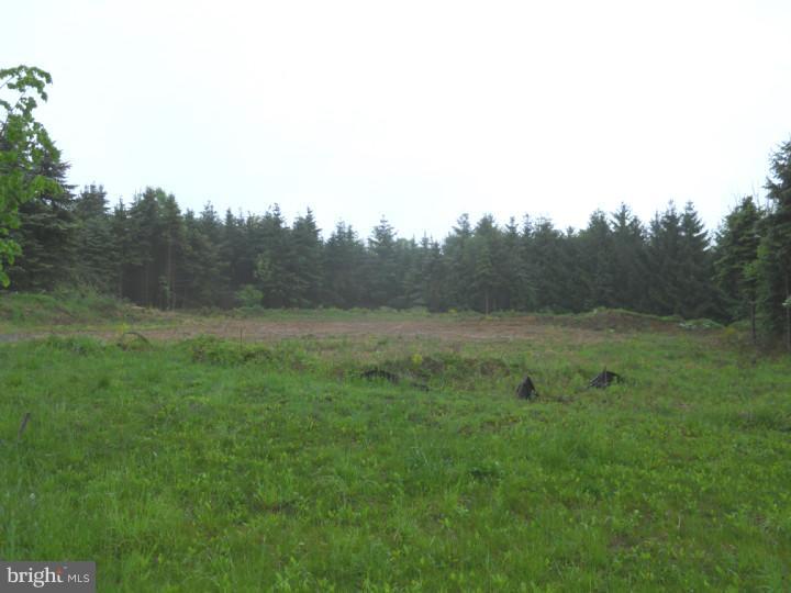 Lot 4 Evergreen Road Riegelsville, PA 18077 - Photo 1 of 10 a view of a big yard with large trees