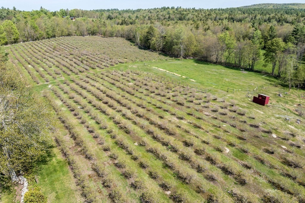 122 Ferin Road Ashburnham, MA 01430 - Photo 28 of 35