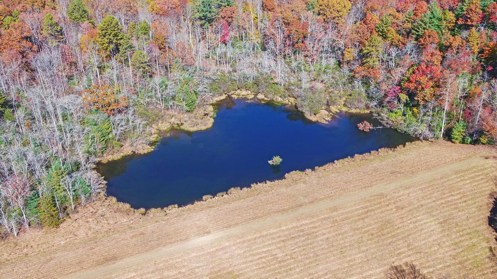 4760 Anderson Road Hiawassee, GA 30546 - Photo 103 of 104