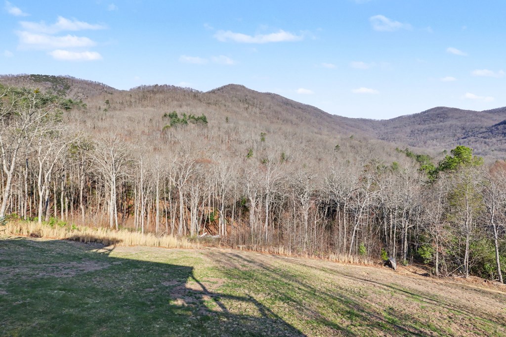 4760 Anderson Road Hiawassee, GA 30546 - Photo 20 of 104