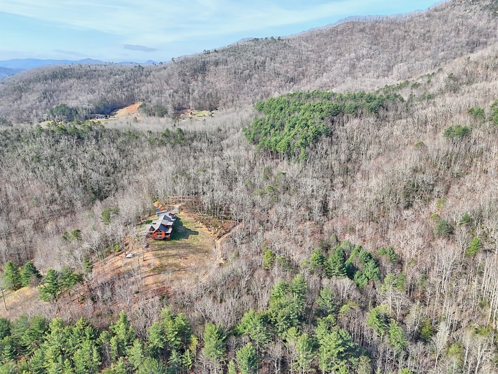 4760 Anderson Road Hiawassee, GA 30546 - Photo 84 of 104 a view of a dry yard with trees and stairs