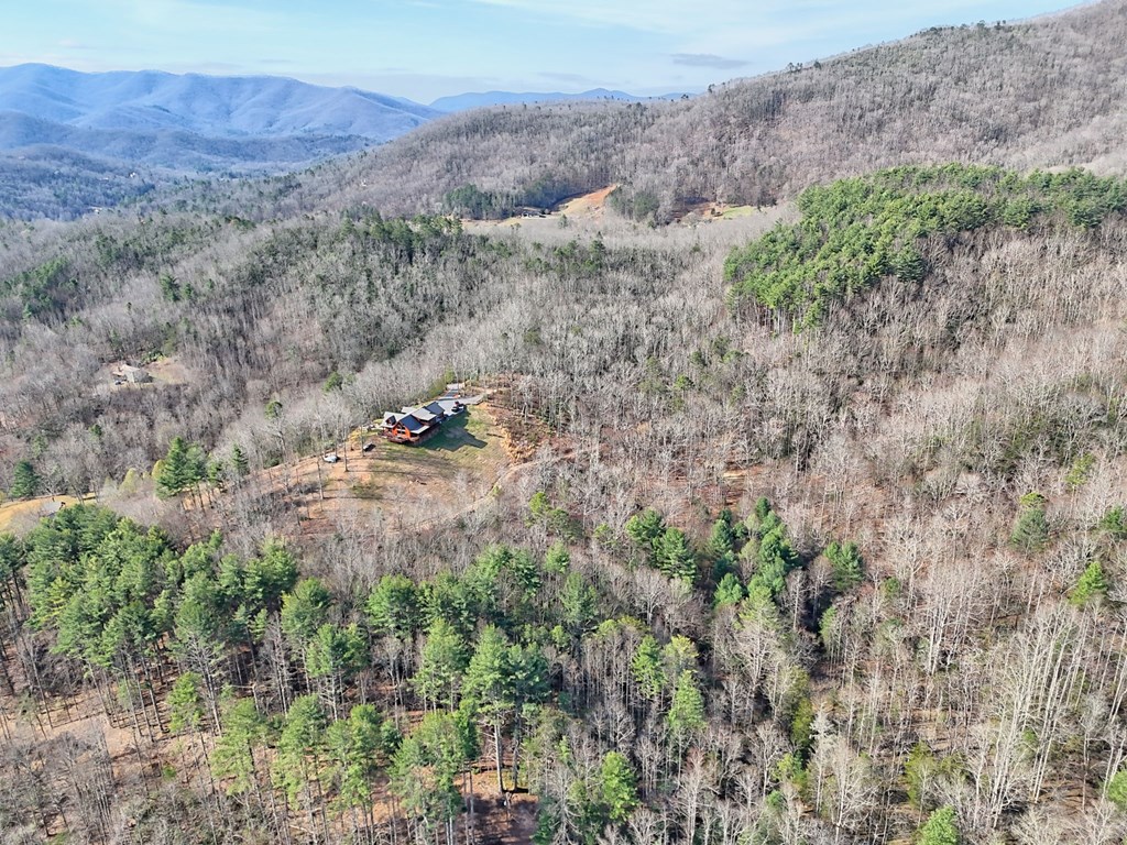 4760 Anderson Road Hiawassee, GA 30546 - Photo 85 of 104 a view of a lush green hillside and a mountain