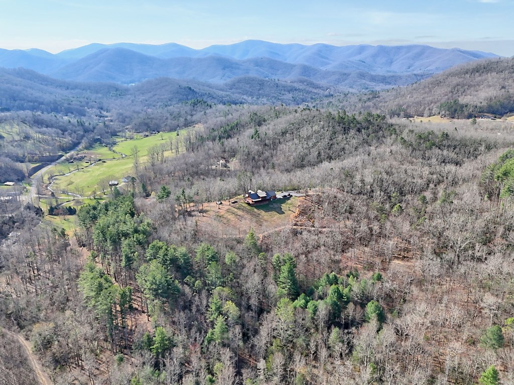 4760 Anderson Road Hiawassee, GA 30546 - Photo 87 of 104 a view of a lush green hillside and a houses