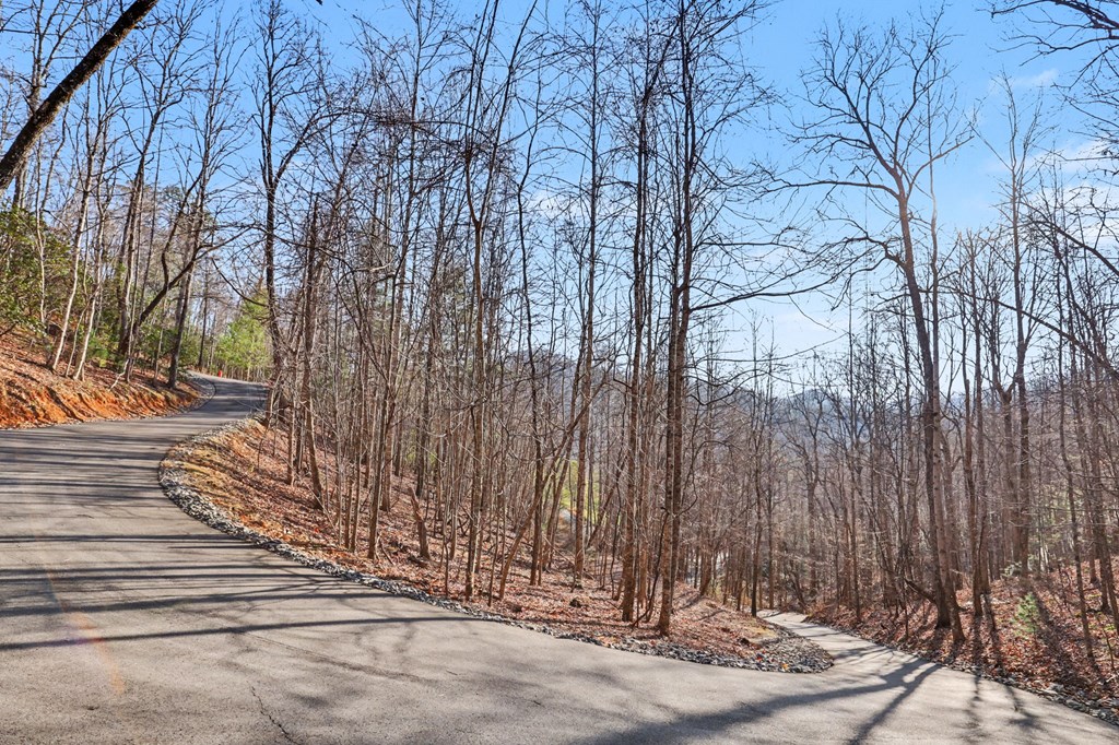 4760 Anderson Road Hiawassee, GA 30546 - Photo 88 of 104 a view of a pathway with a wrought fence