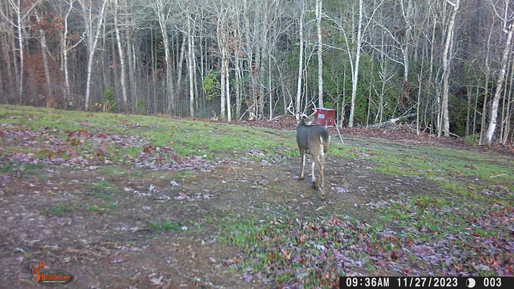 4760 Anderson Road Hiawassee, GA 30546 - Photo 90 of 104