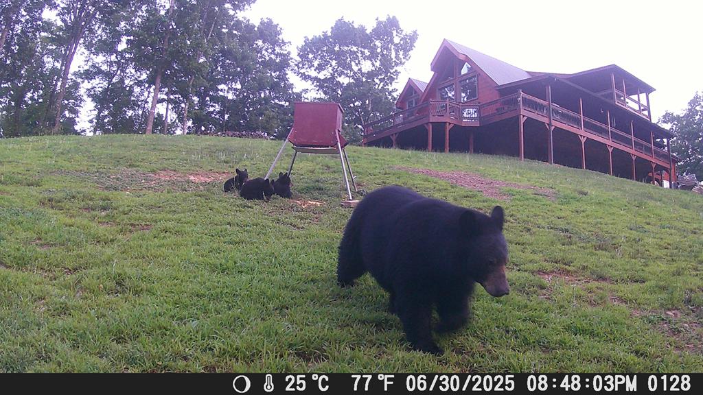 4760 Anderson Road Hiawassee, GA 30546 - Photo 91 of 104