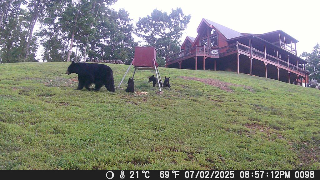 4760 Anderson Road Hiawassee, GA 30546 - Photo 92 of 104 a view of a large building with a big yard and large trees