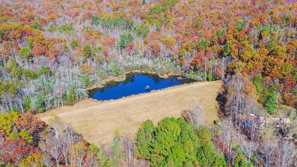 4760 Anderson Road Hiawassee, GA 30546 - Photo 98 of 104