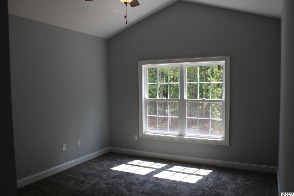 549 Irees Way Longs, SC 29568 - Photo 11 of 25 Gallery Image 11